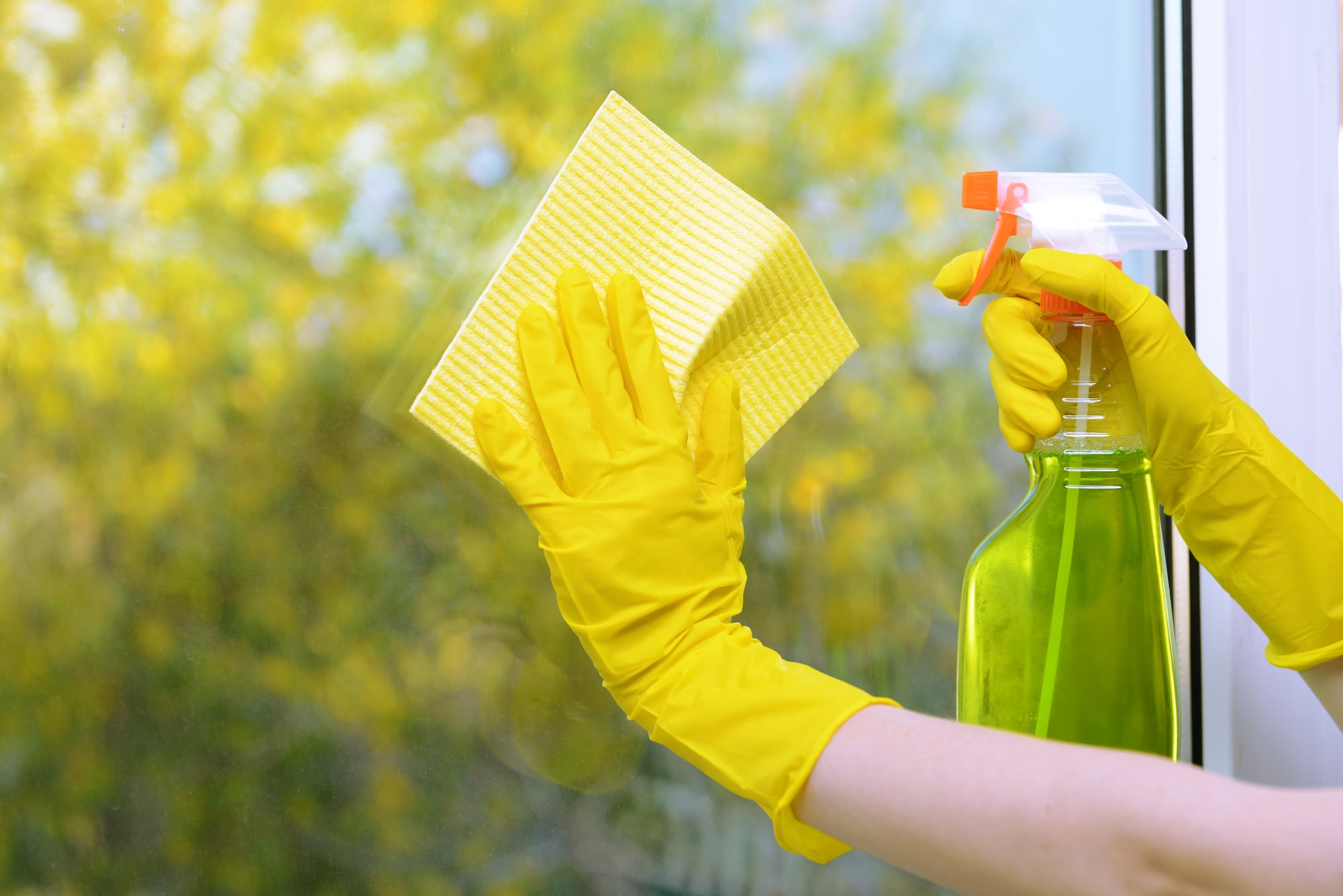 fall cleaning tips